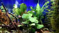 Video Südamerika Becken von Acki50 (zLnN68JVWqk)