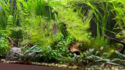 Video Oktober 2025 von Ceylon (zVmpUnyZrRA)