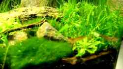 Video Nano Projekt von Chris_R. (zrRtyT8qWl0)