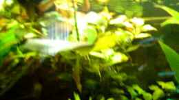 Video Mein Becken von Fohlenpower (-1ii2Rz1_uc)