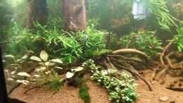 Video Kleine ??bersicht von ehemaliger User (-Ve0ASkPlgg)