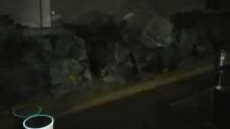 Video Sprachsteuerung von Nina Hutter (-Yj3T7kvWho)