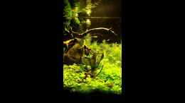 Video Video von Einrichtungsbeispiele.de von Mike St. (-c7iQ6EXKK4)