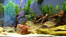 Video Video von Einrichtungsbeispiele.de von Helmut Kreutmayer (-dBprgzDnrs)