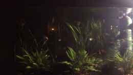 Video Sonnenuntergang von herkla (-g5pj2ZgEqo)