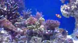 Video Video von Einrichtungsbeispiele.de von Andre Walz (-lixZ9E3bcM)