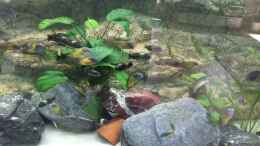 Video Nimmersatte Meute  von Enrico Fröhlich (-qOIOjrb09I)