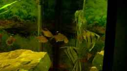 Video Skalartrio von ~Johny-Foxx~ (-vvDS9NREvQ)