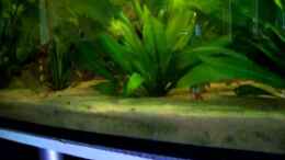 Video Video von Einrichtungsbeispiele.de von Cliff Lehmann (-xrYZUiGpvo)