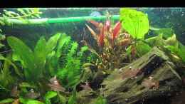 Video Fütterung von Hörnchen (0-_CRJpdlIY)