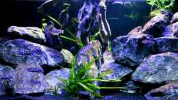 Video High Definition von Erik H. (00-uMjd2548)