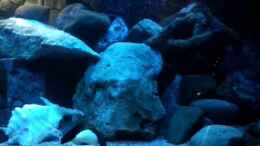 Video mein Becken von FrankenWasser (0NkEb1xBG88)