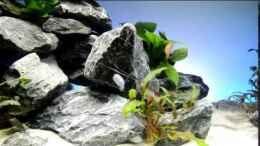 Video Green Malawi-Scape von St3aman (0WAUFvSNQT8)