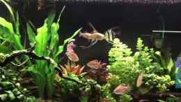 Video Bonny und Clyde am Balzen von Aerbsli (0p1ncrI5_p8)