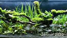 Video Asien Becken 400 Liter von -Der Österreicher- (0vSvybpSb0U)