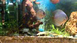 Video Video 300l von Lars 300l 1. (0yjnRwdun84)