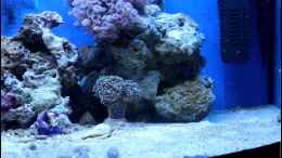 Video NanoRiff Sven K. auf Einrichtungsbeispiele.de von Sven K. (10fnAFjq19I)