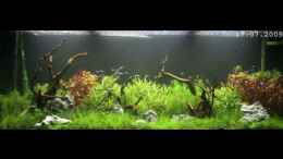 Video 450 Liter Aquariun von ehemaliger User (1X57V-Xhqx0)