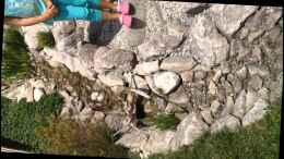 Video Wasser fängt an zu laufen von Thomas S-H (2-pUAhFSL54)