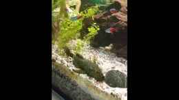 Video Der alte Herr von SvenDerGroße (26IN2m2Xah0)