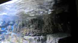 Video Oberflächenströmung von Sebastian O. (2RrSpzepCmI)