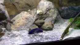 Video ??bersicht von skipper1202 (2UCyS6E_Tnw)