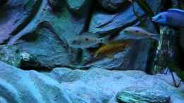 Video mit der neuen Beleuchtung von Marco O. (2_sponW3EDs)