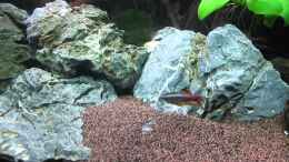 Video Asia Flow! von ehemaliger User (2kLI-cccPe8)