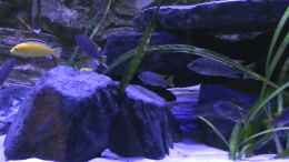 Video Eindruck von skipper1202 (2mE8alZARbU)