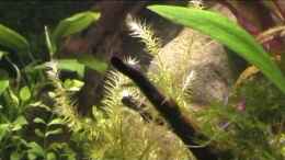 Video Dreamworld von Ralf64 (2oqhJYBP9FE)