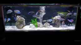 Video Aktuell von Malawi-Guard (2tb0K79YV0k)