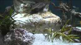 Video Mein Pott II von Jörg (3BcyGJgz80w)