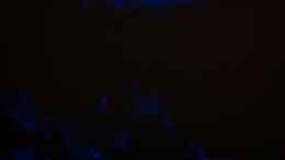 Video Gewitter von Michael Reiz (3Er6xPg3CSc)