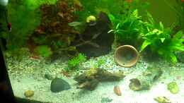 Video schneggi von baw (3I8jxJDh6is)