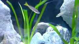 Video meine Tangas von Chris_R. (3cJYEB0Xrn0)