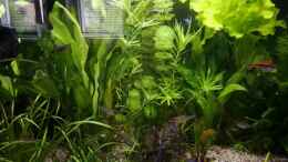 Video Video von Sven2501 (3fQcc44F9Fc)