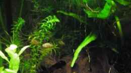 Video ~ Zwergenland ~ von ehemaliger User (3fURWEtVO10)