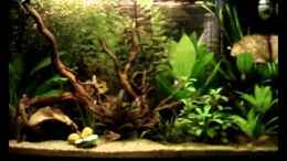 Video Thorsten´s First Try von *Thorsten* (3uKRDnvn2hI)