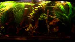 Video Ruhe von Kai Heermann (4-xtkYR3HqI)