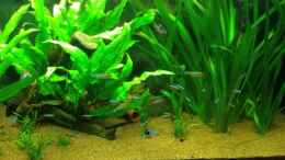 Video Video von Einrichtungsbeispiele.de von Hage81 (4Ne6teUSv1g)