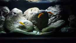 Video Umgestaltung von Mel (4YqHEsQZHEo)