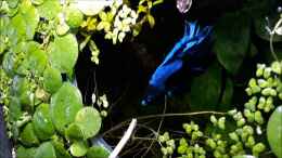 Video Fütterung von Michael Müller (4eC0QIO3iHg)