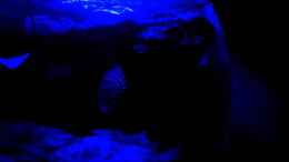 Video Video von Einrichtungsbeispiele.de von ehemaliger User (4g9NL3sSCJc)