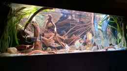 Video Amazon tank von Agua viva (4kvhOKtmMiA)