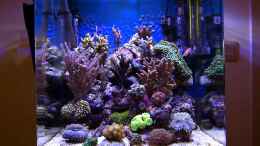 Video 60 Liter Riff von Helmut Kreutmayer (56PgKqdMHEo)