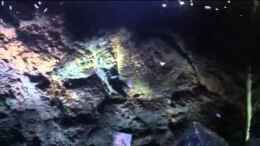 Video Malawibecken Strömung von Kripo (5B6ocwlekWc)