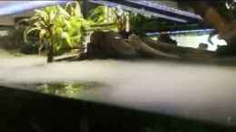 Video Blitze und Nebel im Becken von Alexander Deepocean (5T4ryWo0WTw)