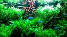 Video 2 Minuten Entspannung von axolotl (5ilr2CxyuIE)