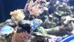 Video Video von Einrichtungsbeispiele.de von urbi (5osI4DYjEUk)