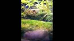 Video  wellness von Alexander Deepocean (5rklKRhYR2M)